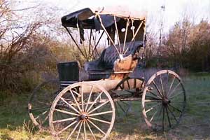 1904 banner buggy